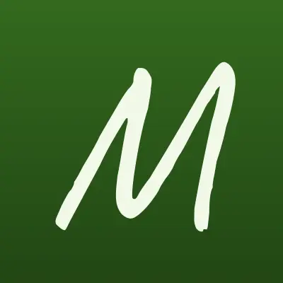 Миг, автомойка, лого-визитка